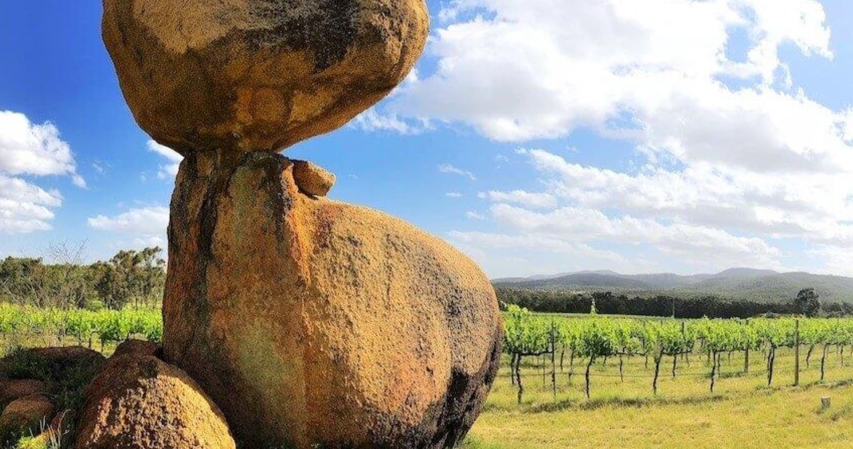 Granite Belt by Heritage Rail: Downs Explorer Winery & Regional Bus Tour from Warwick