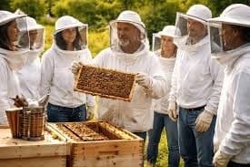 From Hive to Jar: Hands-On Honey Making Class at the Beehives