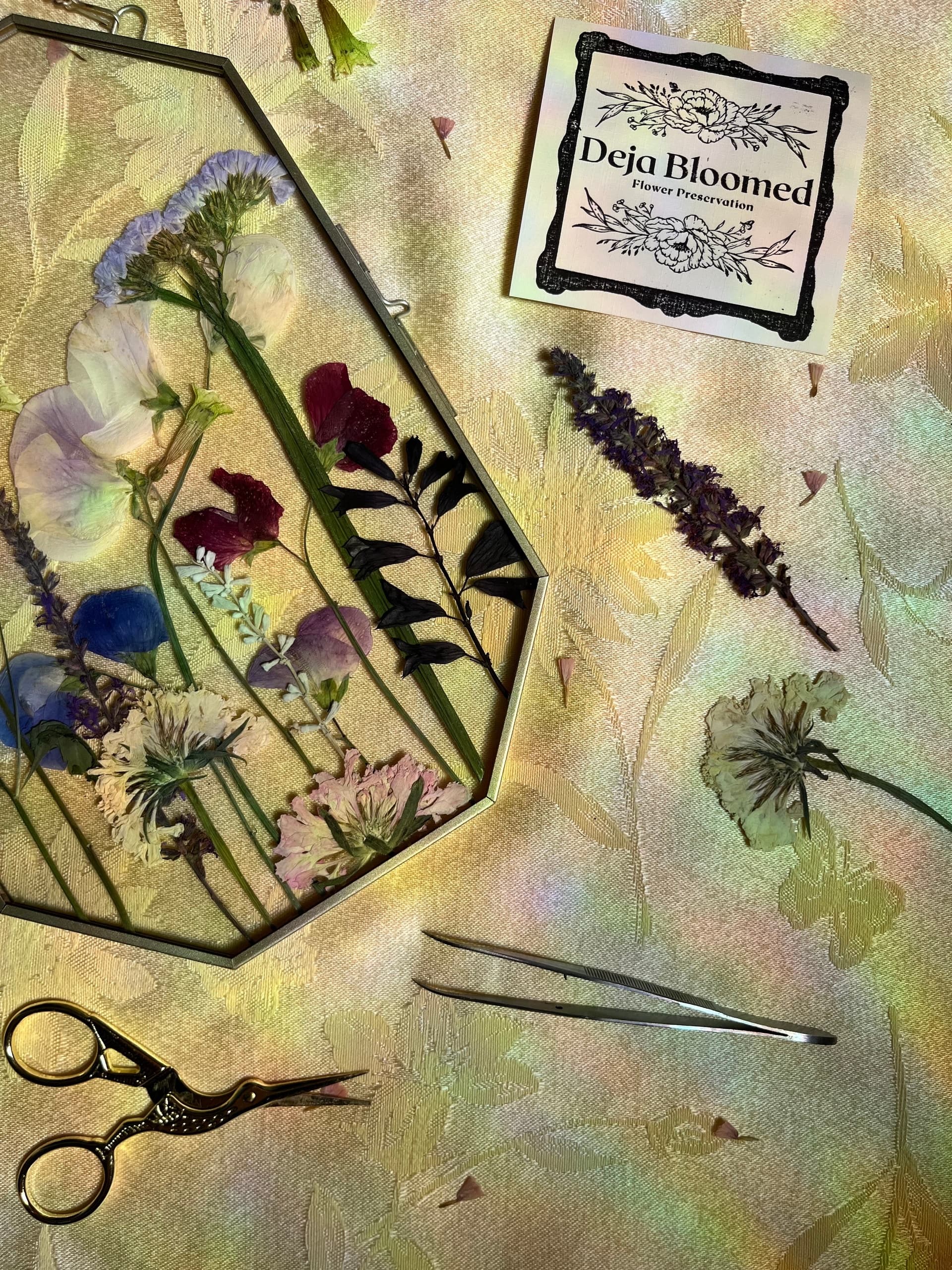 Flower Picking & Art at Brantwood Farms