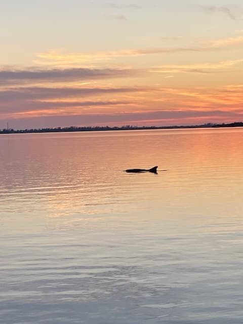 Holmes Beach Sunset Cruise: Small-Boat Gulf Evening Tour