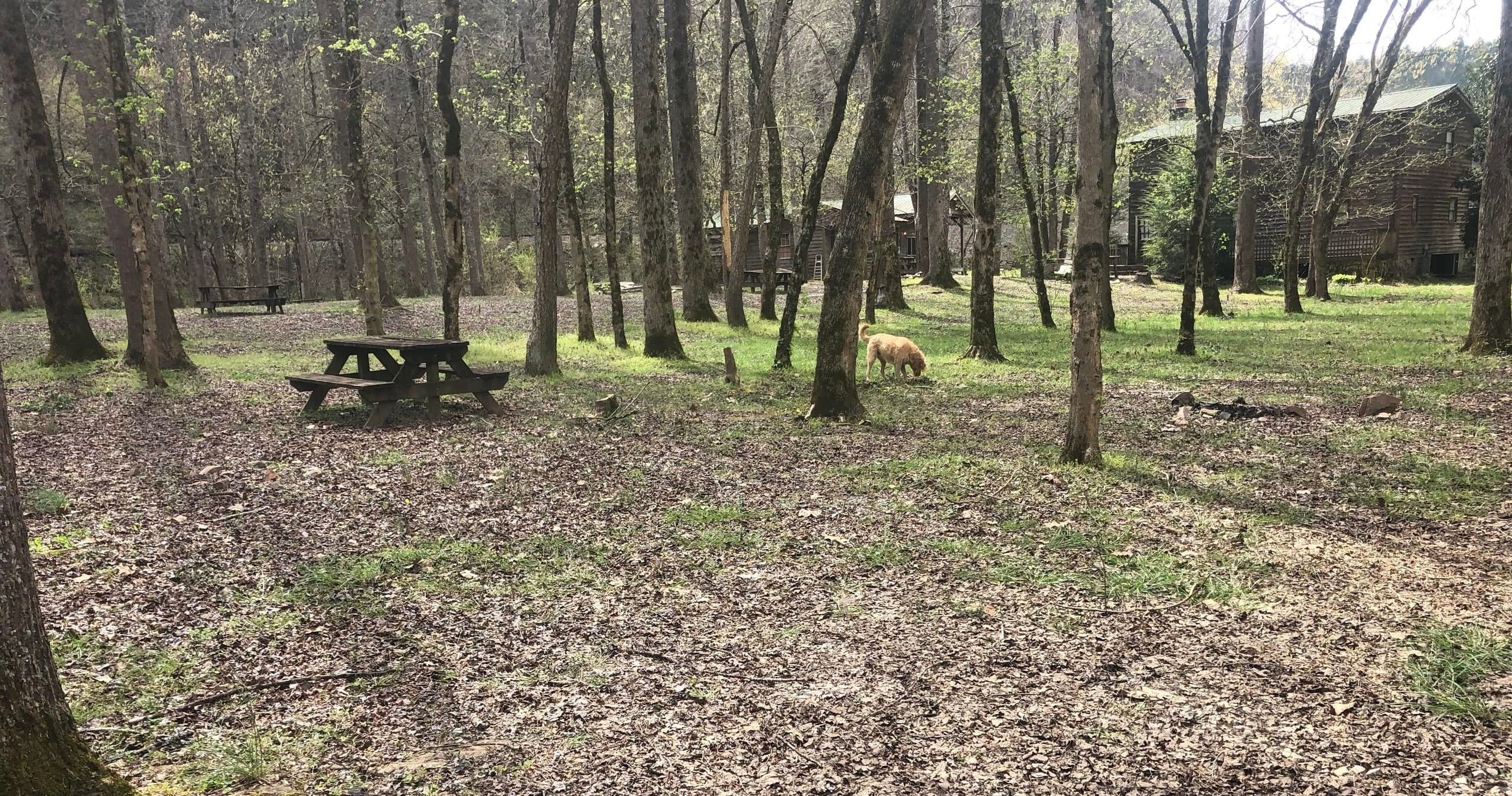 Water Activities & Camping at Hiwassee Outfitters