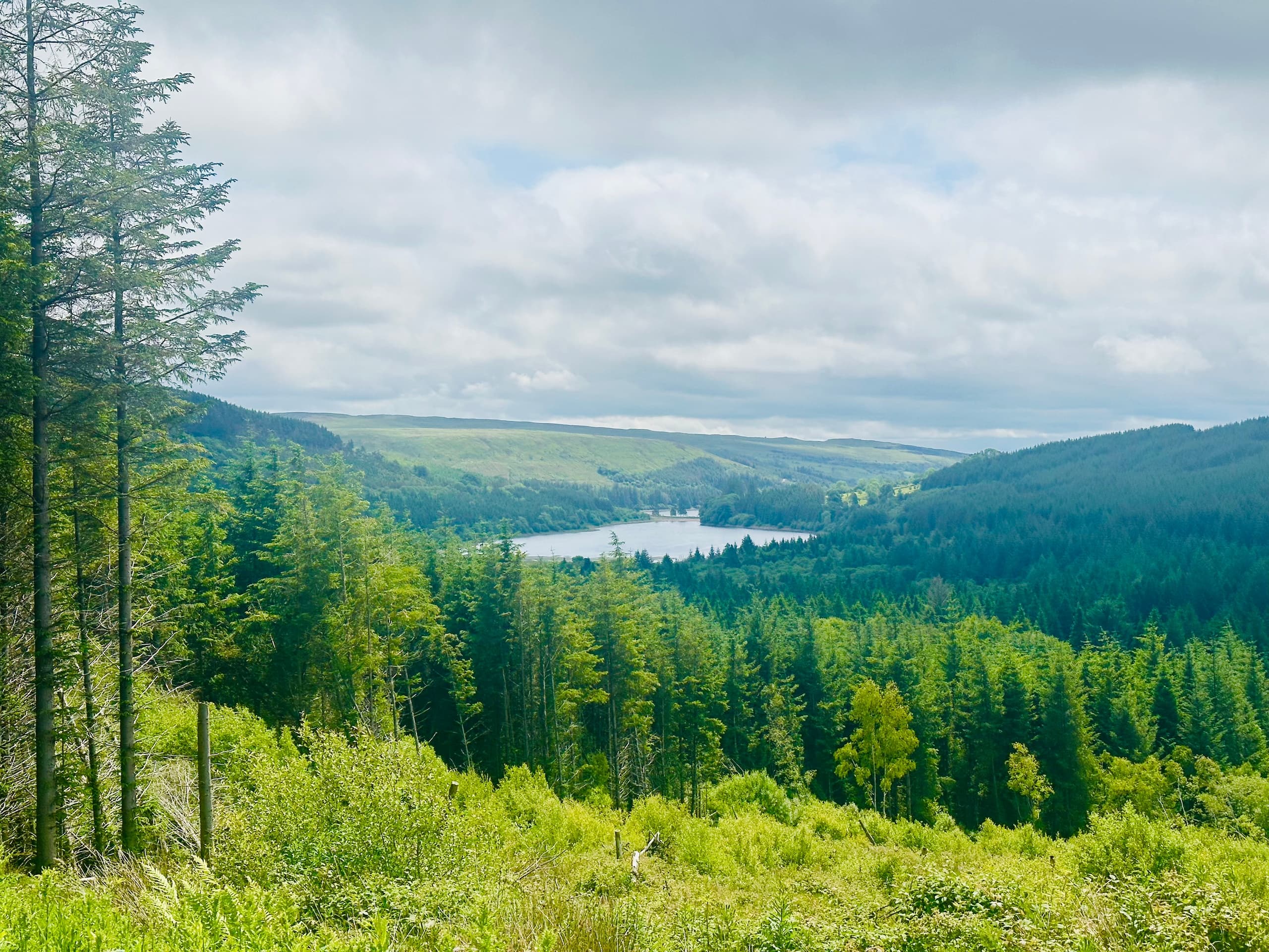 Brecon Beacons Rail & Valley Walk: Taf Fechan, Reservoir Ruins & Dramatic Views photo 2