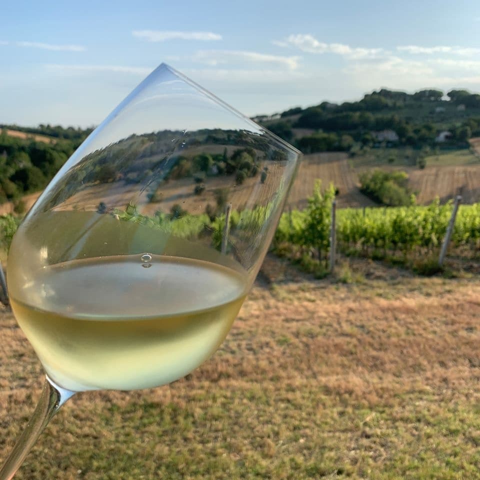 Land Adventures at Cantina Mazzola: Vineyard Dining in Nature