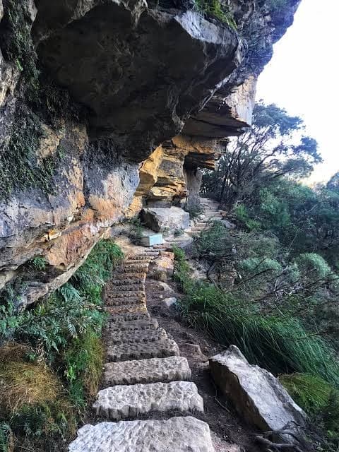 Overcliff-Undercliff Hike with Beyond the Blacktop NSW