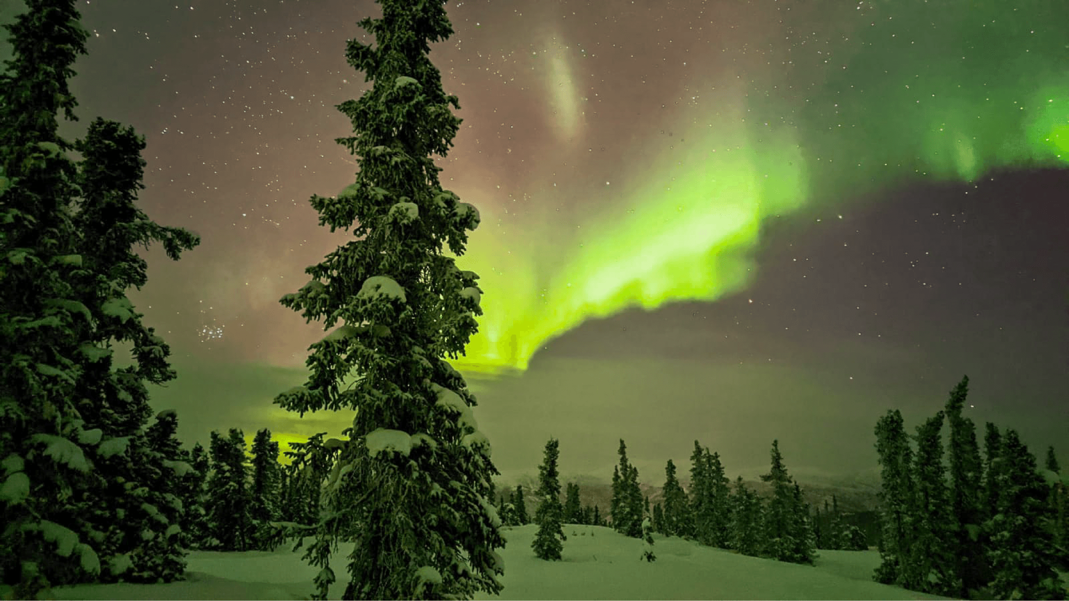 Experience the Ultimate Private Northern Lights Tour in Fairbanks, Alaska photo 2