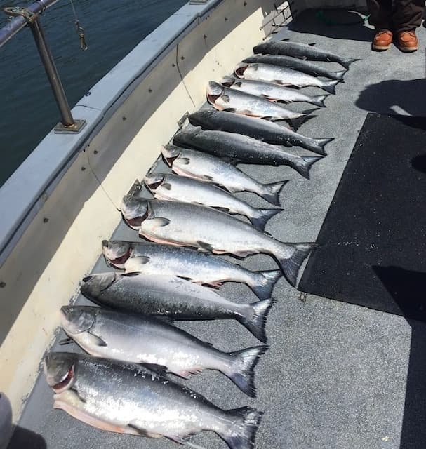 Salmon Fishing Adventure in Monterey Bay, Santa Cruz