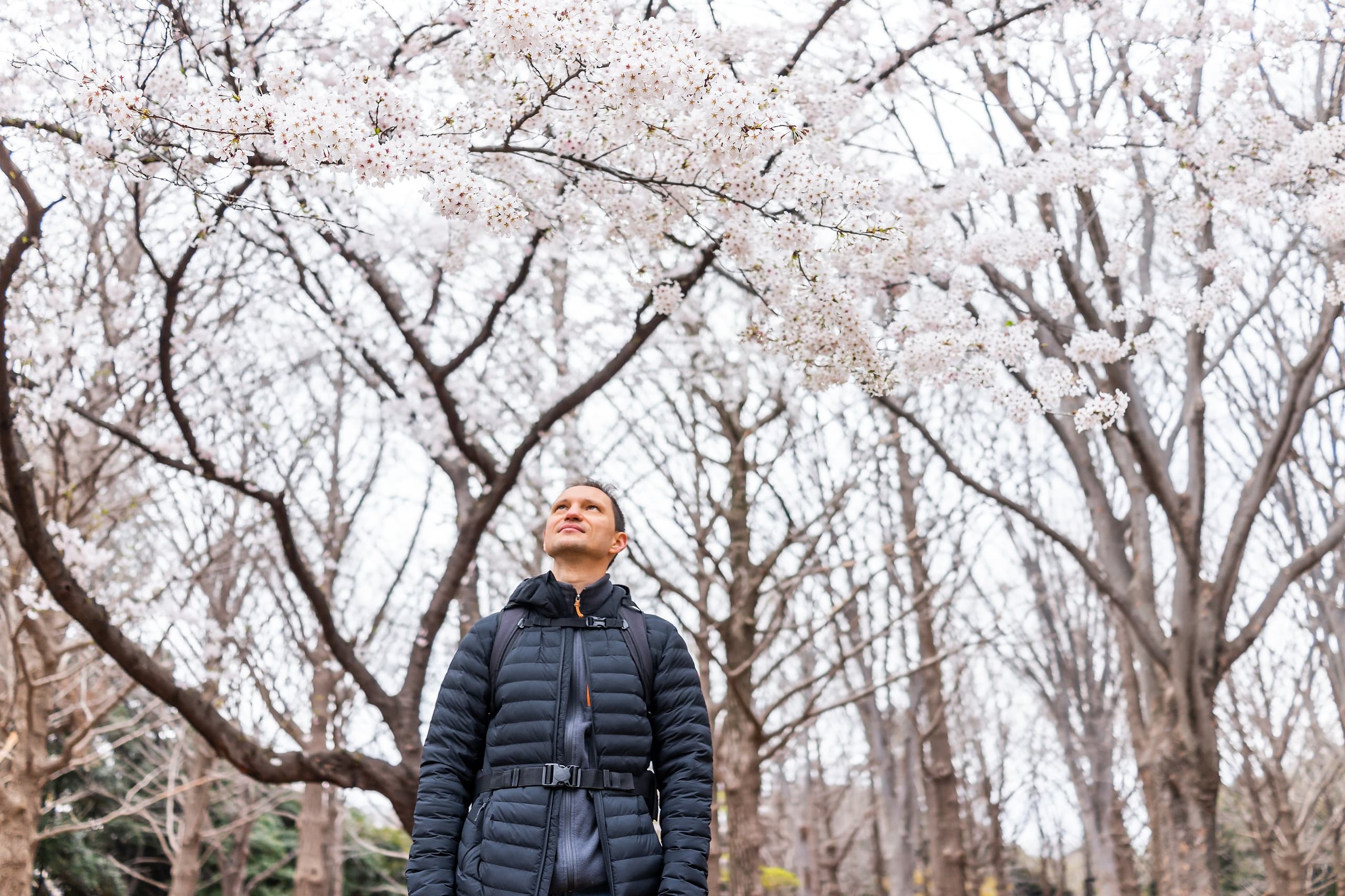 Private Photoshoot in Yoyogi Park: Capture Cherry Blossoms & Ginkgo in Shibuya photo 1