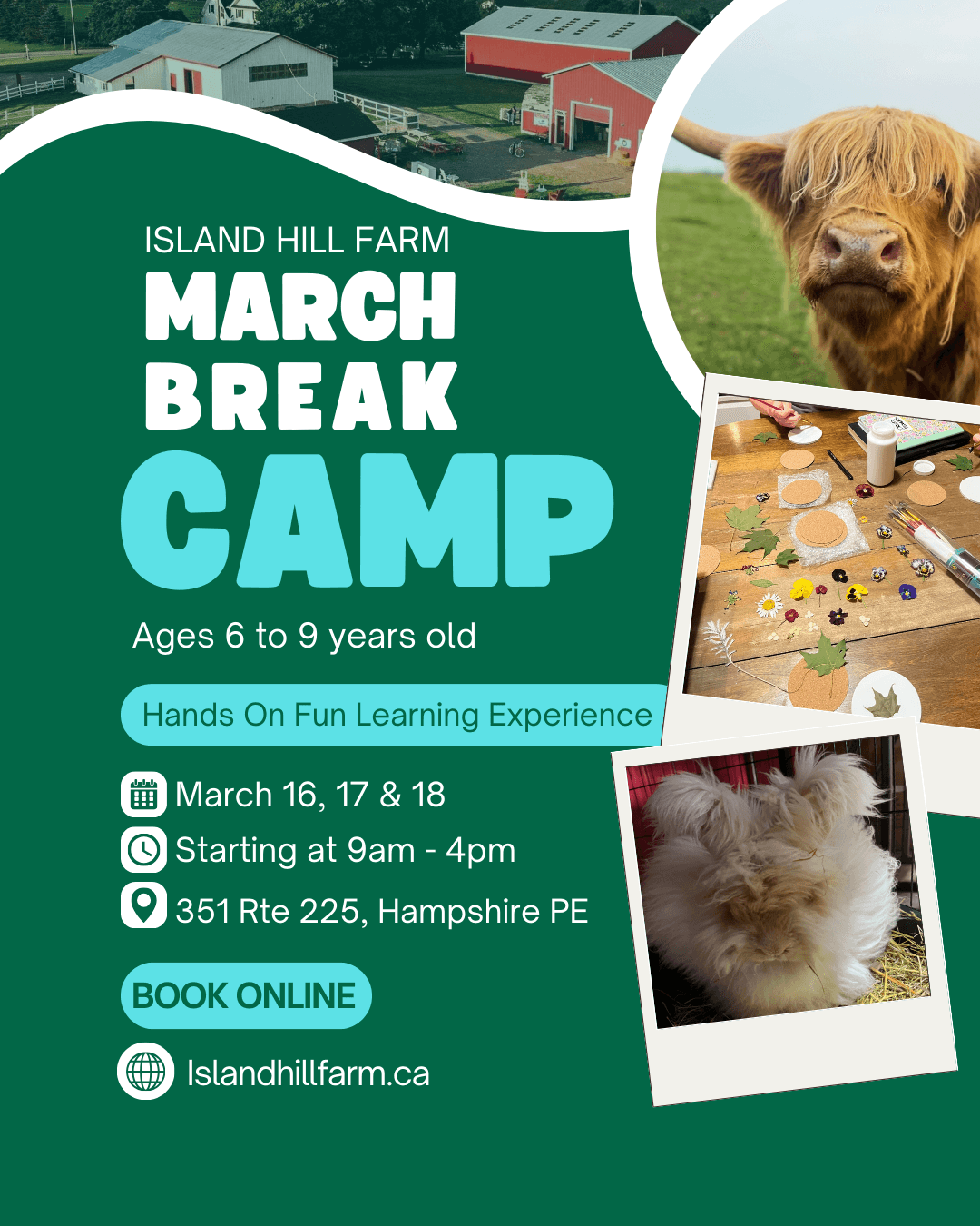March Break One-Day Farm Camp at Island Hill Farm, Hampshire PEI photo 1
