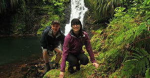 Hikers exploring mossy waterfall pool in temperate rainforest