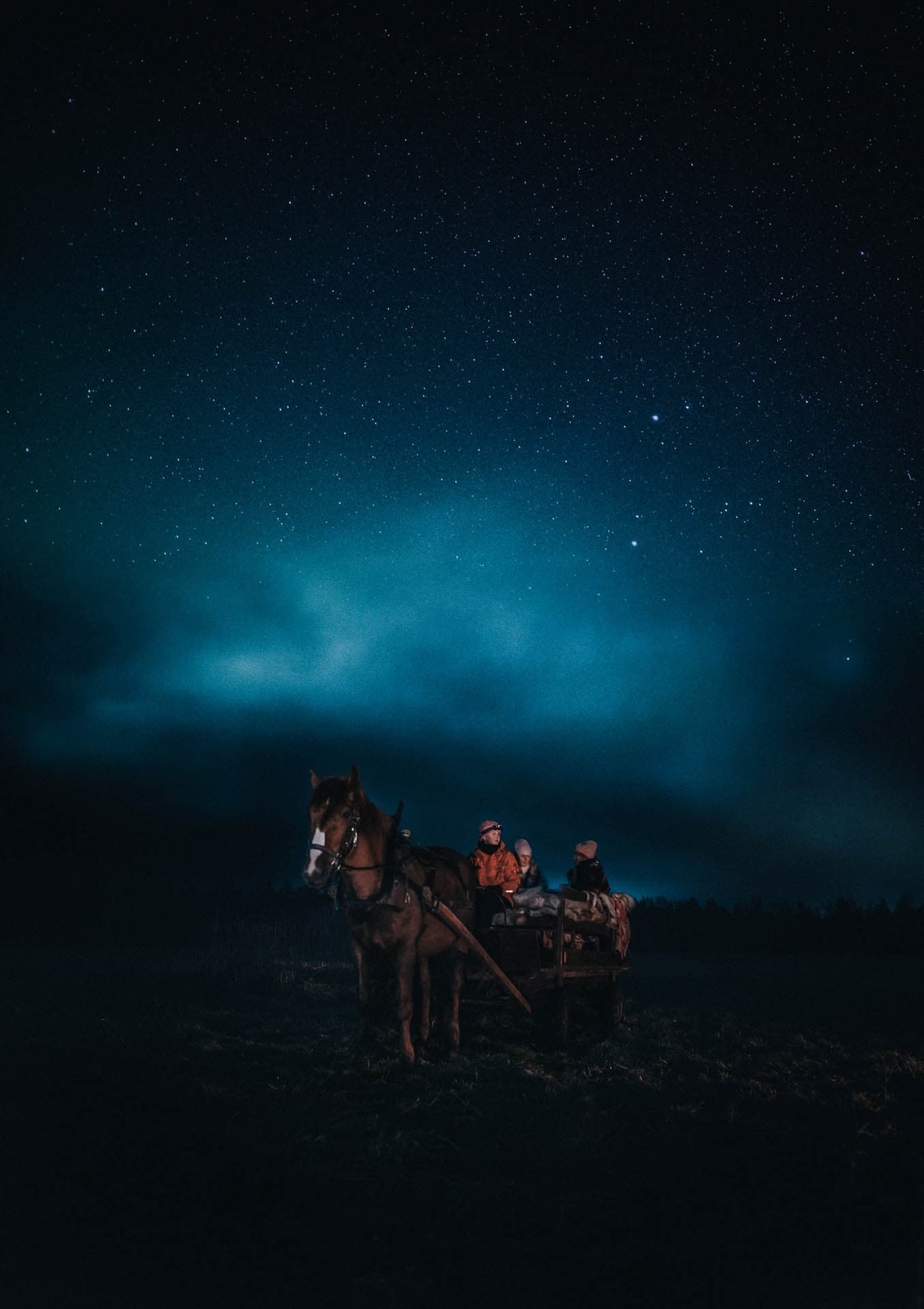 Horse Carriage Ride under the Night Sky at Apukka Resort in Rovaniemi