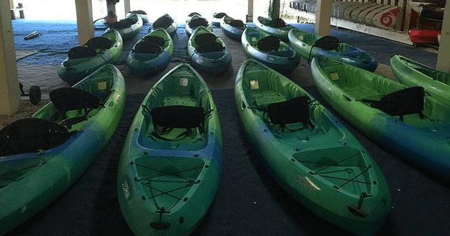Kayak & Paddleboard Rentals on the Cocohatchee with All Water Excursions