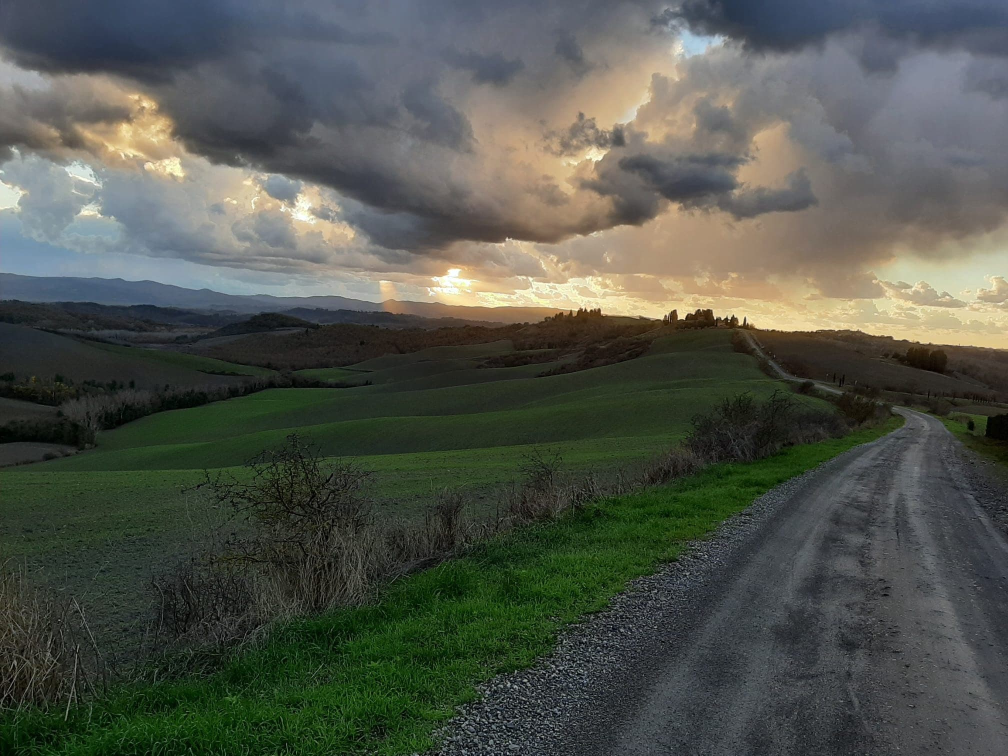 14 Day Bike Rentals with Florence By Bike in Italy