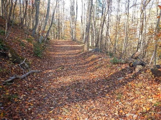Hell’s Trail Climb to Devils Backbone in Virginia