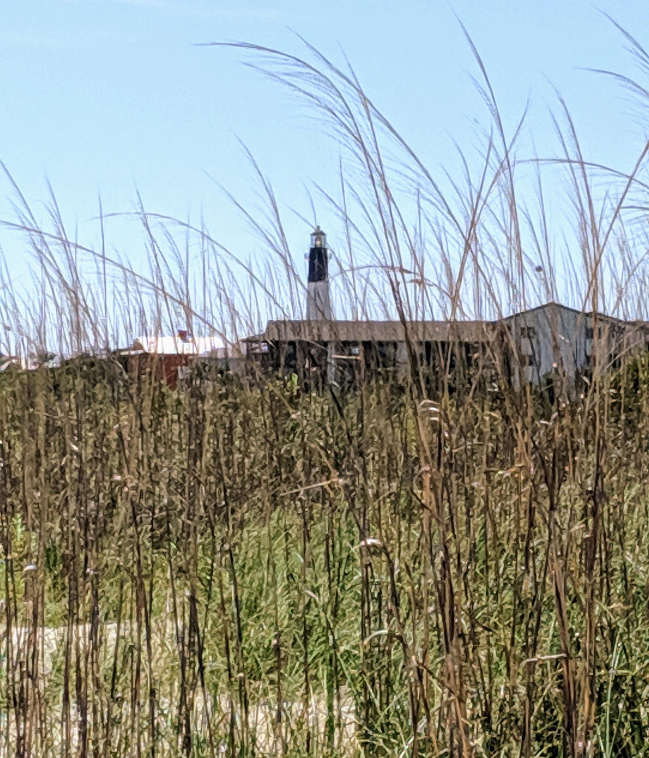 DTours’ Savannah Style Tour: Historic & Coastal Highlights