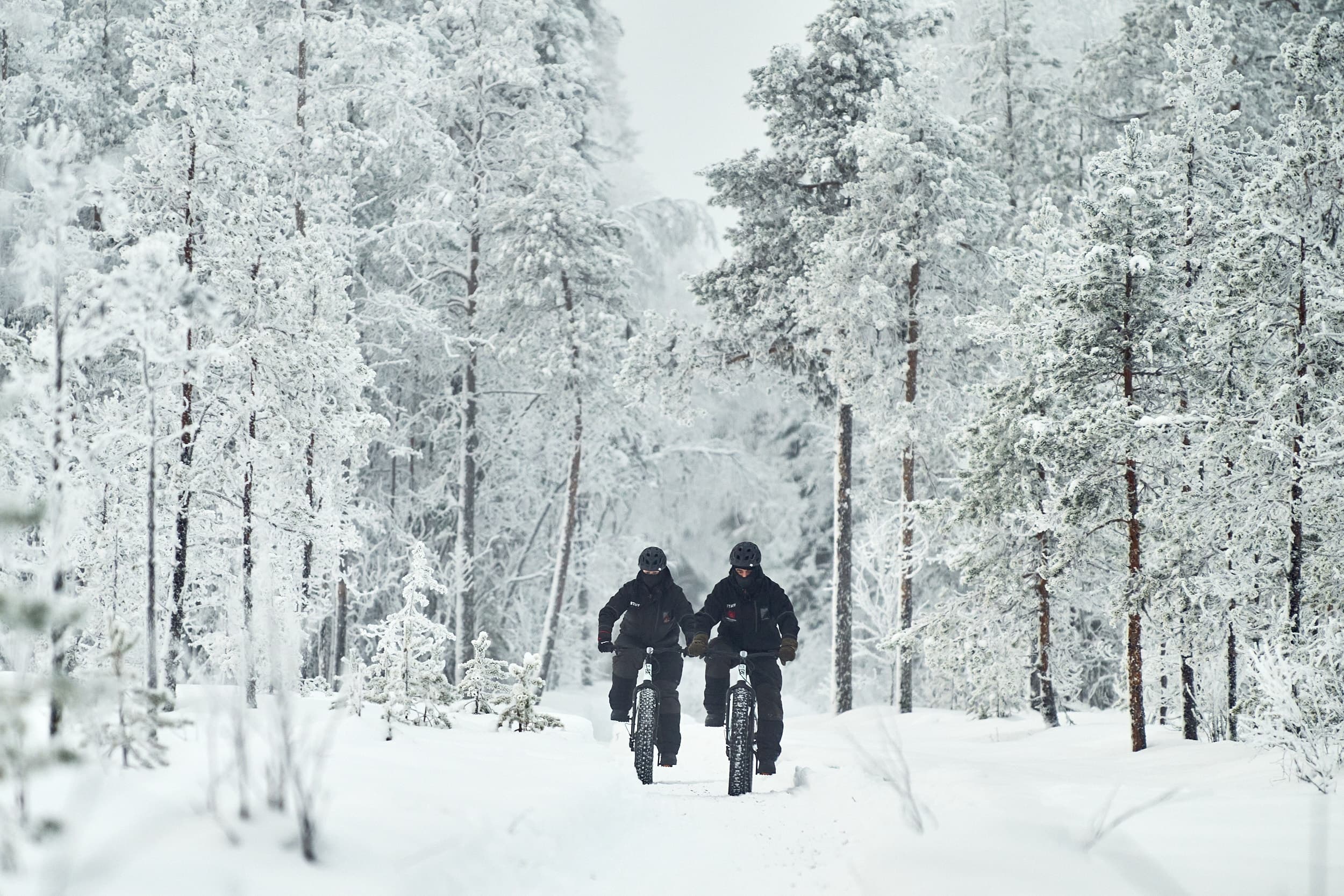 Electric Fatbiking Around Ylitornio: Arctic Trails and Aurora Rides in Lappi photo 3