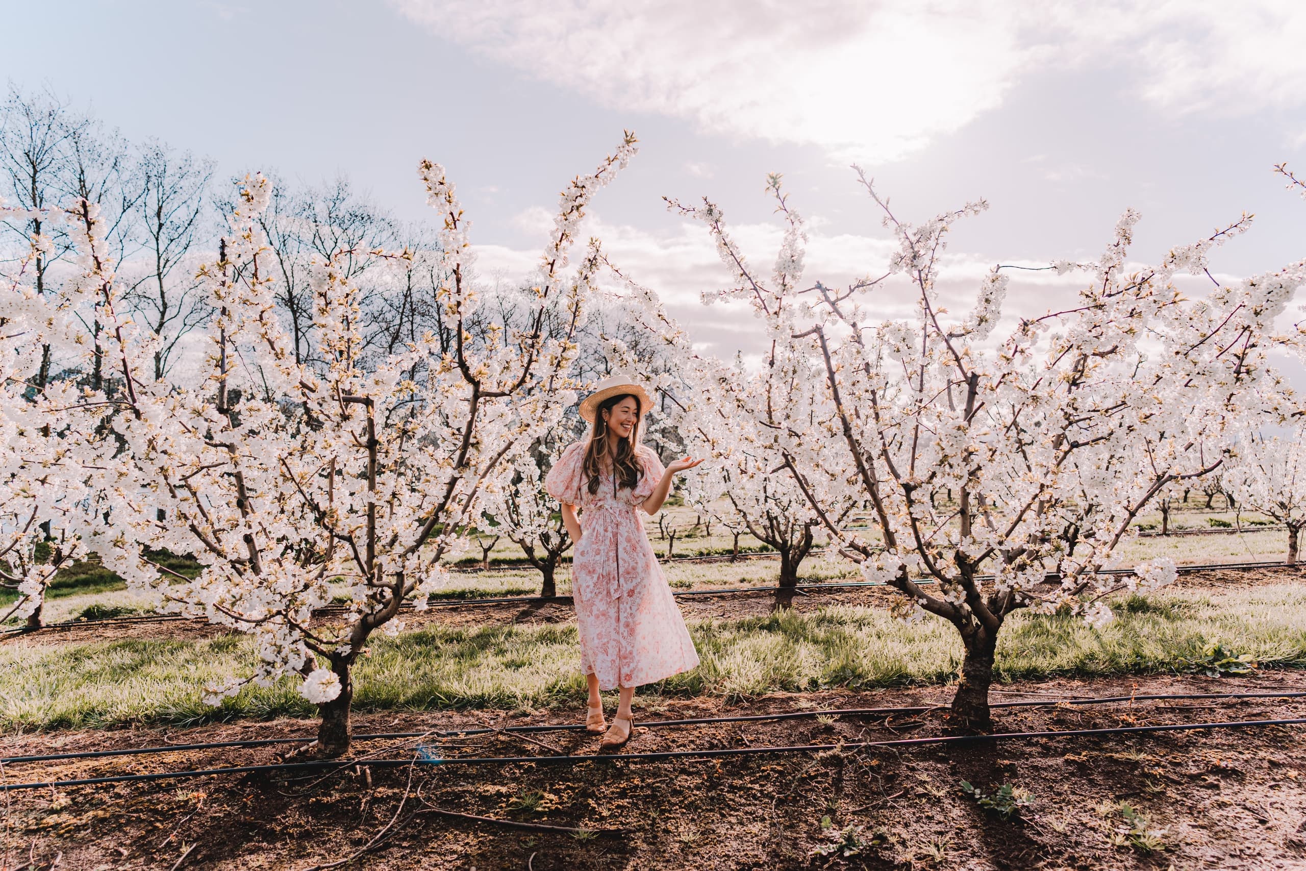 Wildflower & Orchard Tour at CherryHill Orchards
