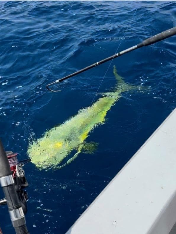 Sport Fishing & Charters with Side Kick in Murrells Inlet