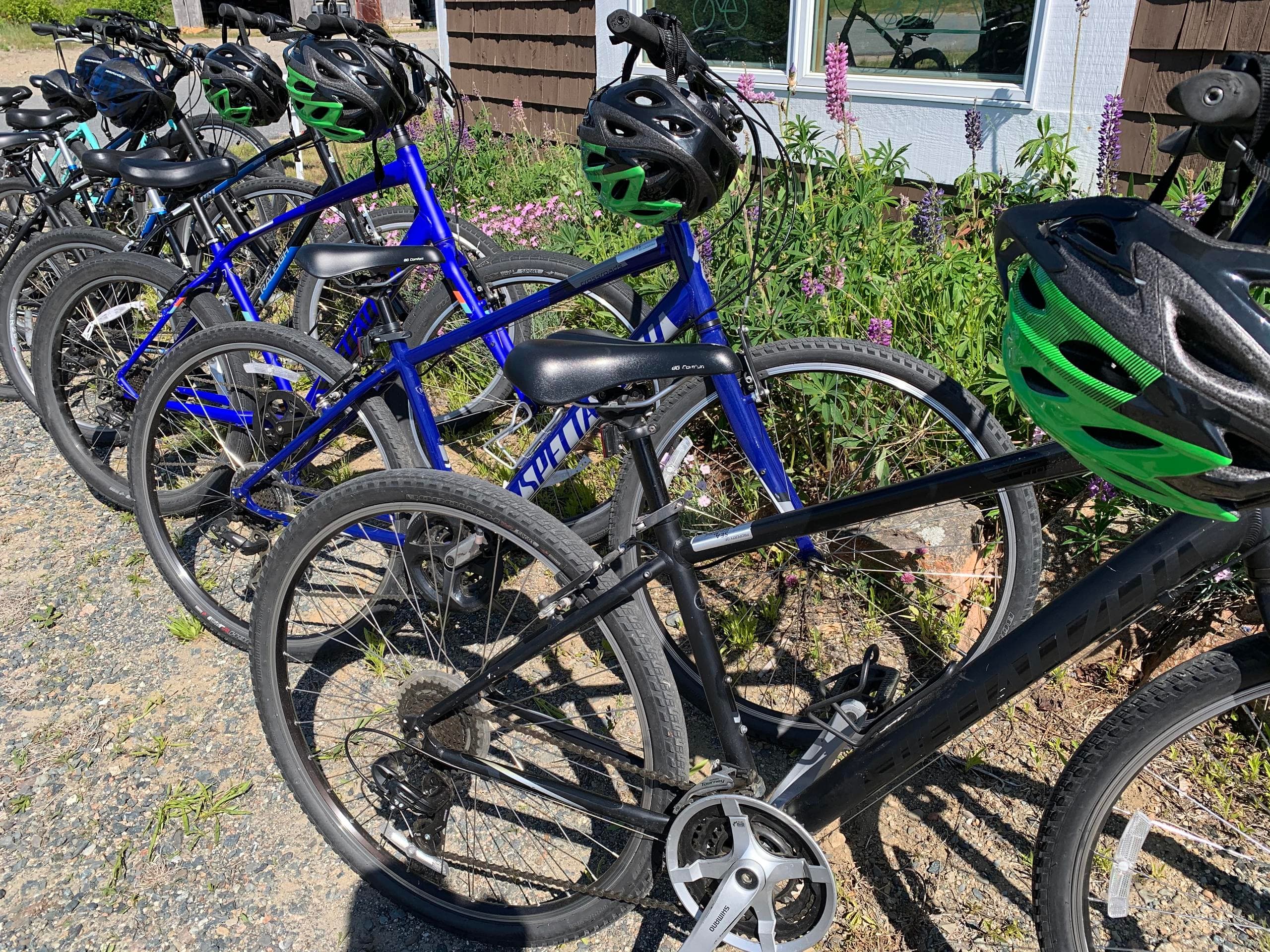 Bike & Discover Schoodic Peninsula with Sea Schoodic Kayak & Bike