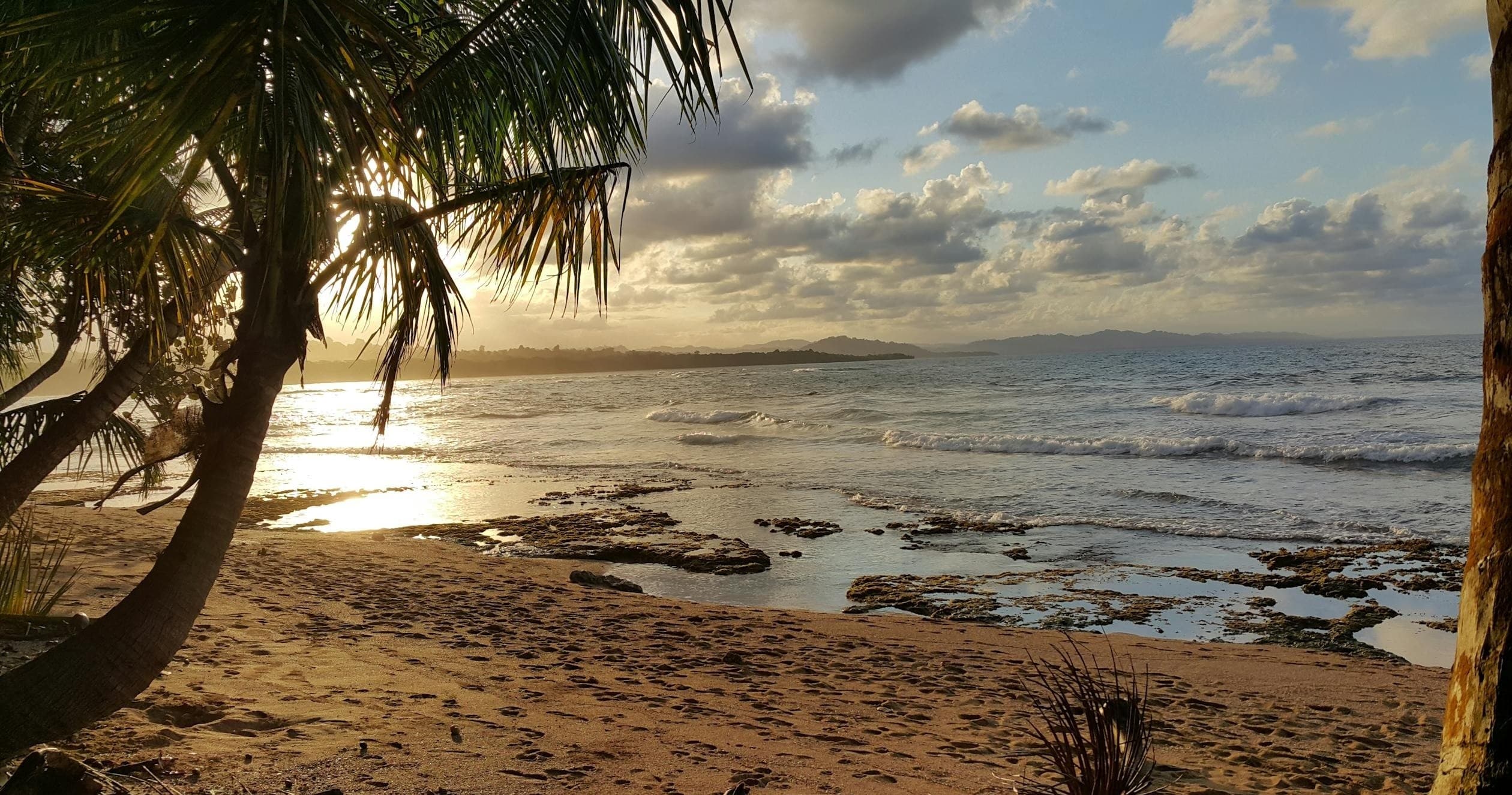 Private Sunset Cruise in Isabela with Island Tours LLC