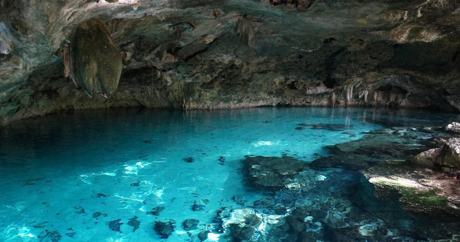 Dos Ojos Cenote Dive with Always Diving & Water Sports