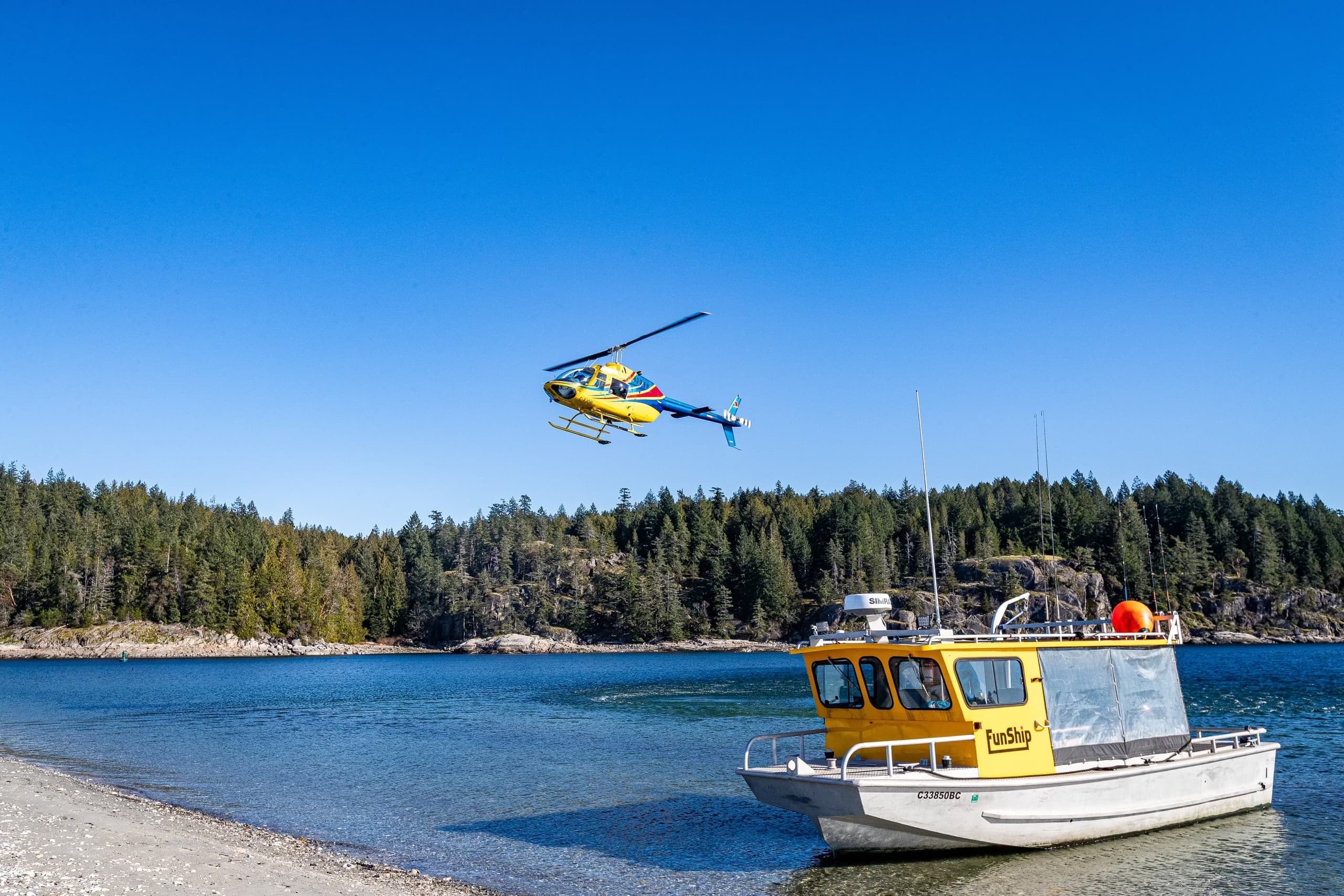 Heli Herring Tour: Comox Herring Spawn Helicopter & Boat Experience