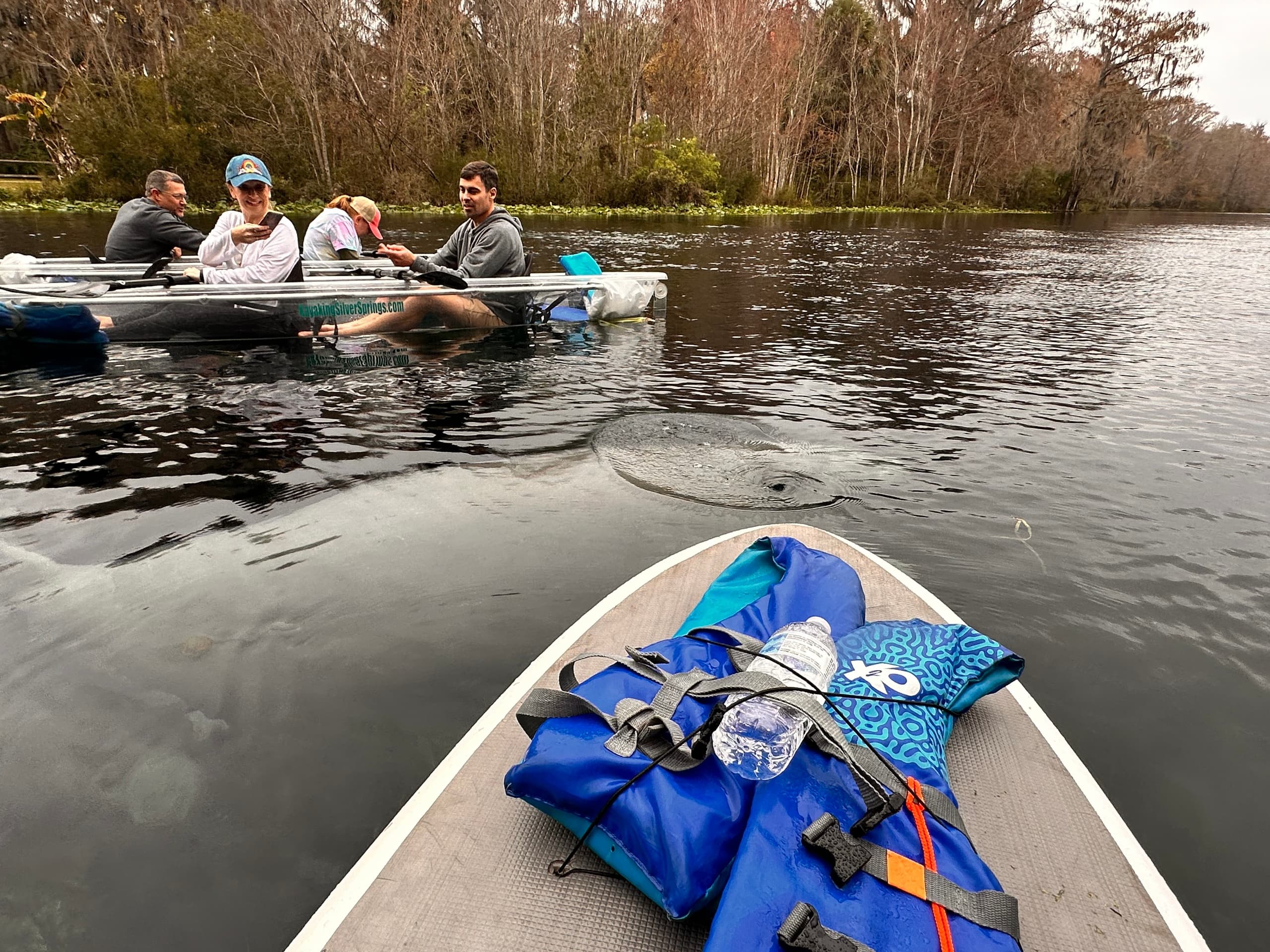 Wildlife & Kayaking at Silver Springs with Silver Springs Kayak Tours