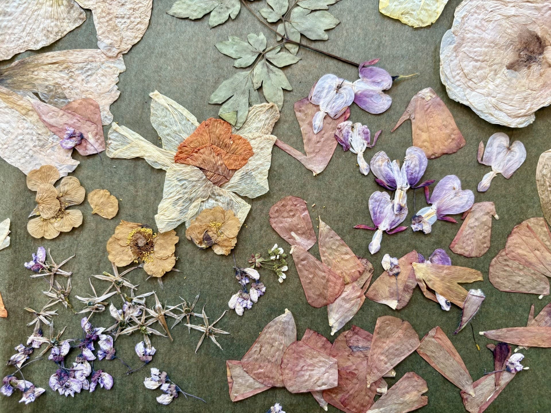 Nature-Inspired Craft at Thomas Cole National Historic Site