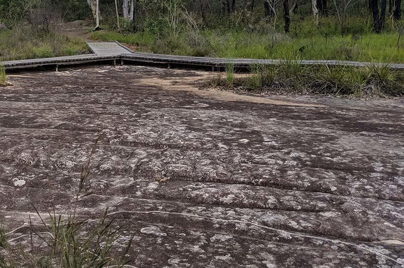 Granite rock slab and boardwalk trail through bushland vista