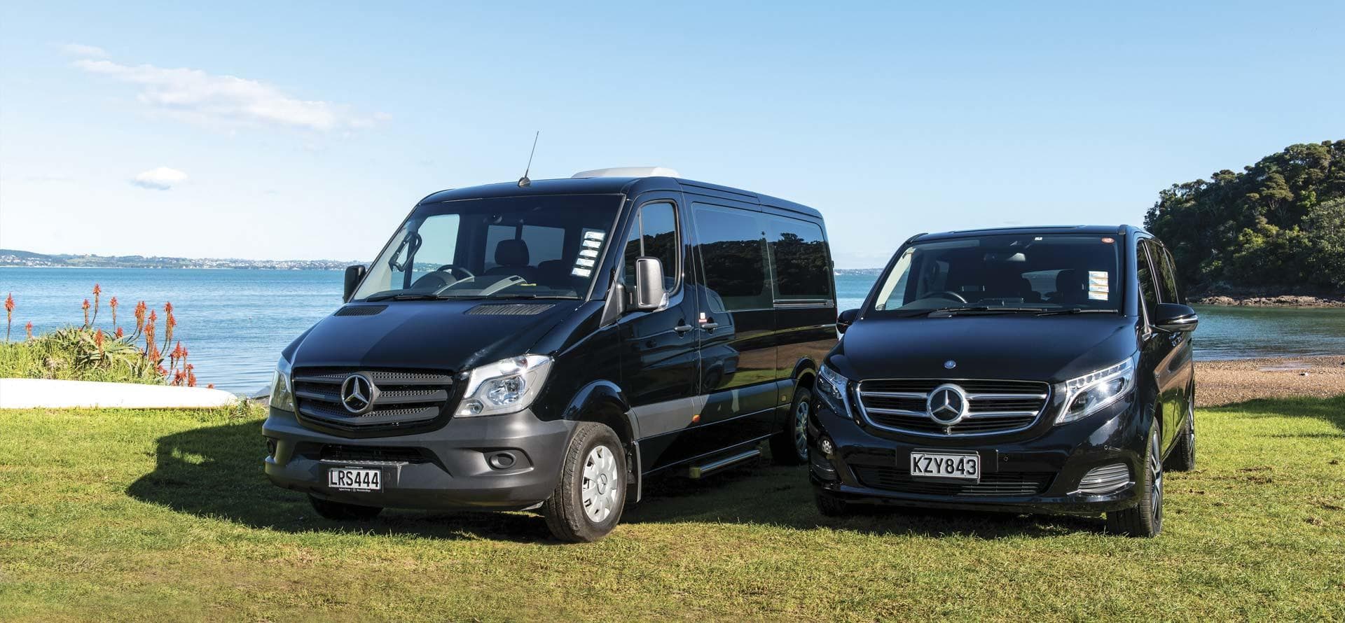 Shuttle vans waiting on grassy coastal lawn for scenic transfers