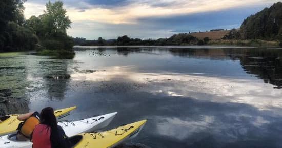 Glowworm Kayak Trip with The Boatshed Kayaks in Waikato