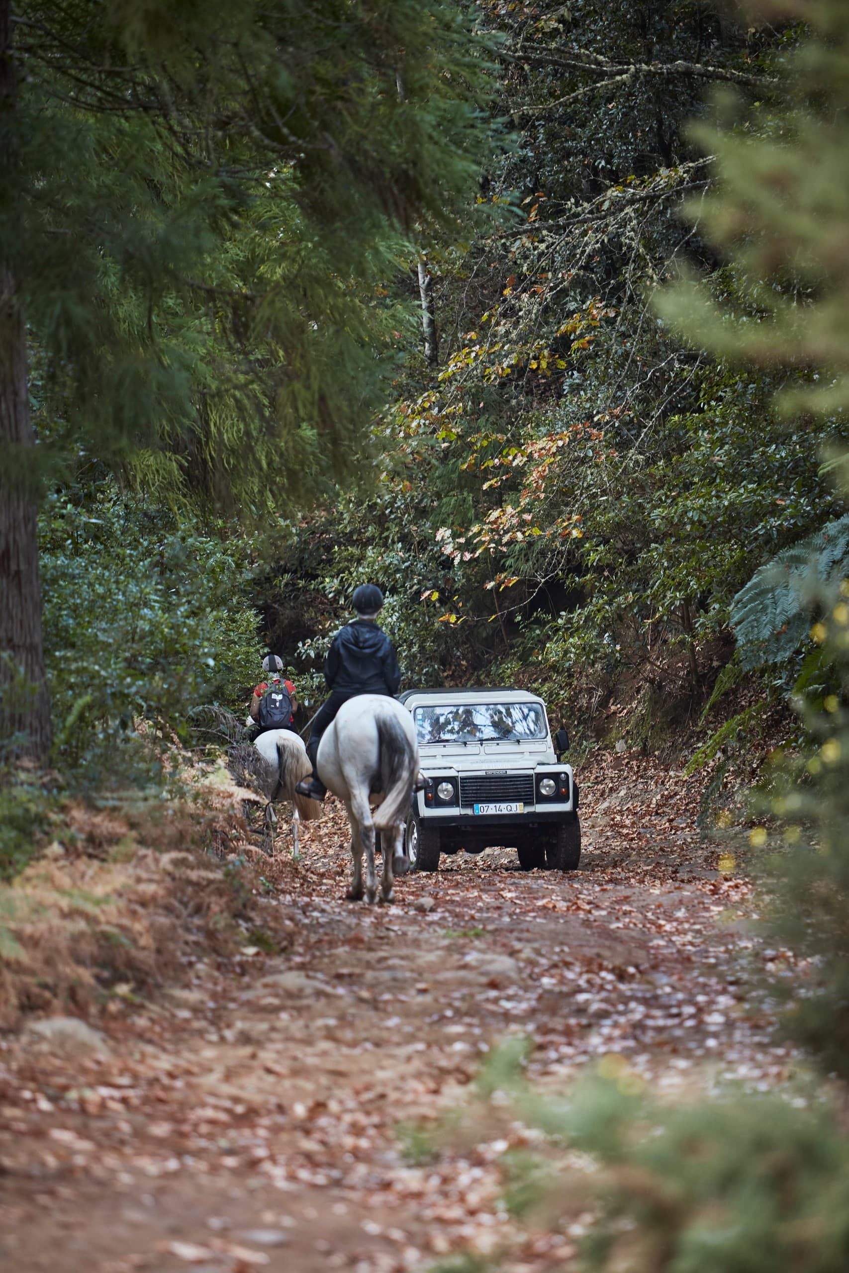 Madeira Mini Combo East Adventure: 4x4 Jeep Safari and Levada Walk from Funchal
