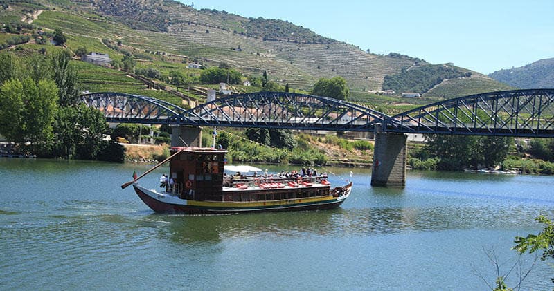 Water Activities: Douro River Scenic Boat Tour with Tomaz do Douro