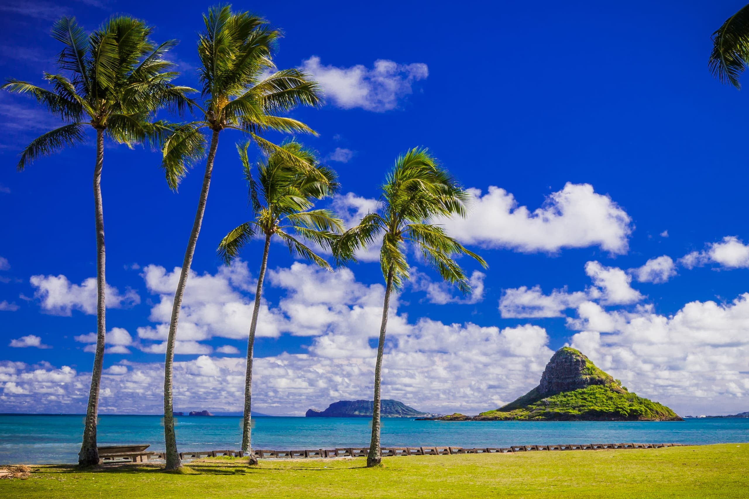 Grand Oahu Circle Island Tour With Snorkeling — Full-Day VIP Circle & Turtle Snorkel