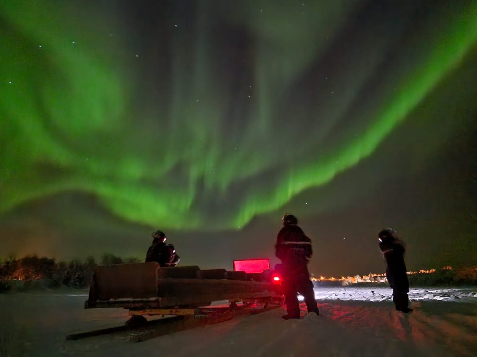 Winter Wildlife & Aurora Snowmobile Tour at Hotelli Kultahippu
