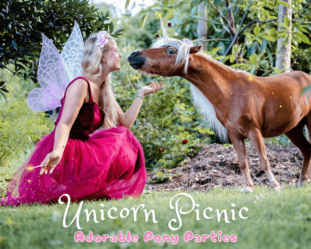 Family Outdoor Adventure at Unicorn Picnic Sydney