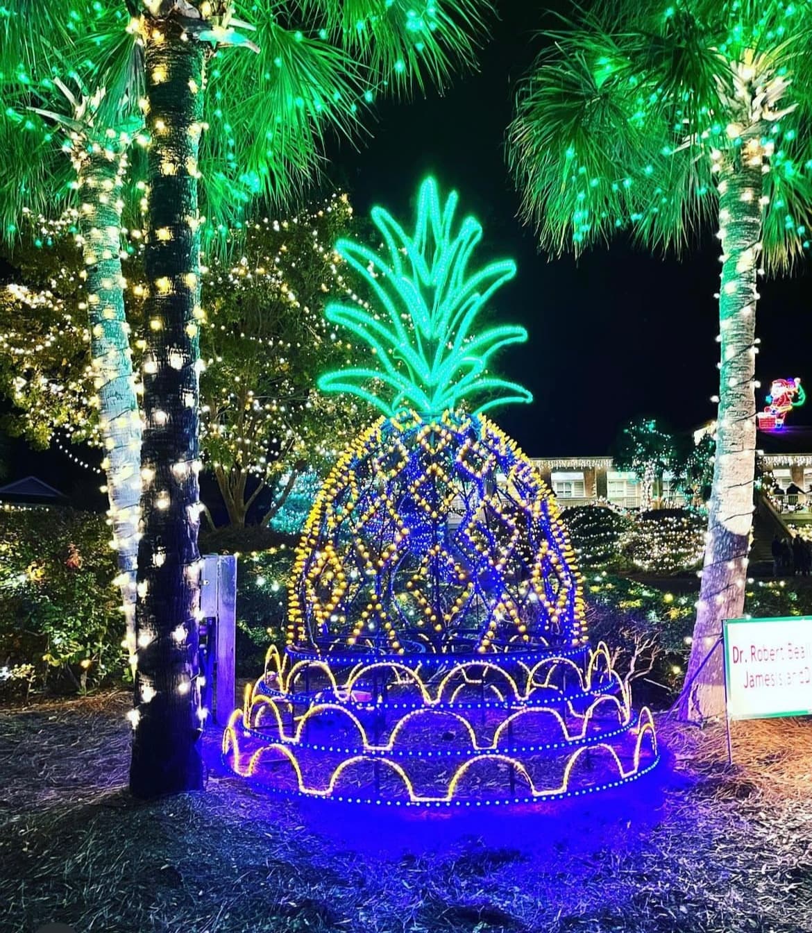 Holiday Lights Tour in Charleston with Adventure Sightseeing