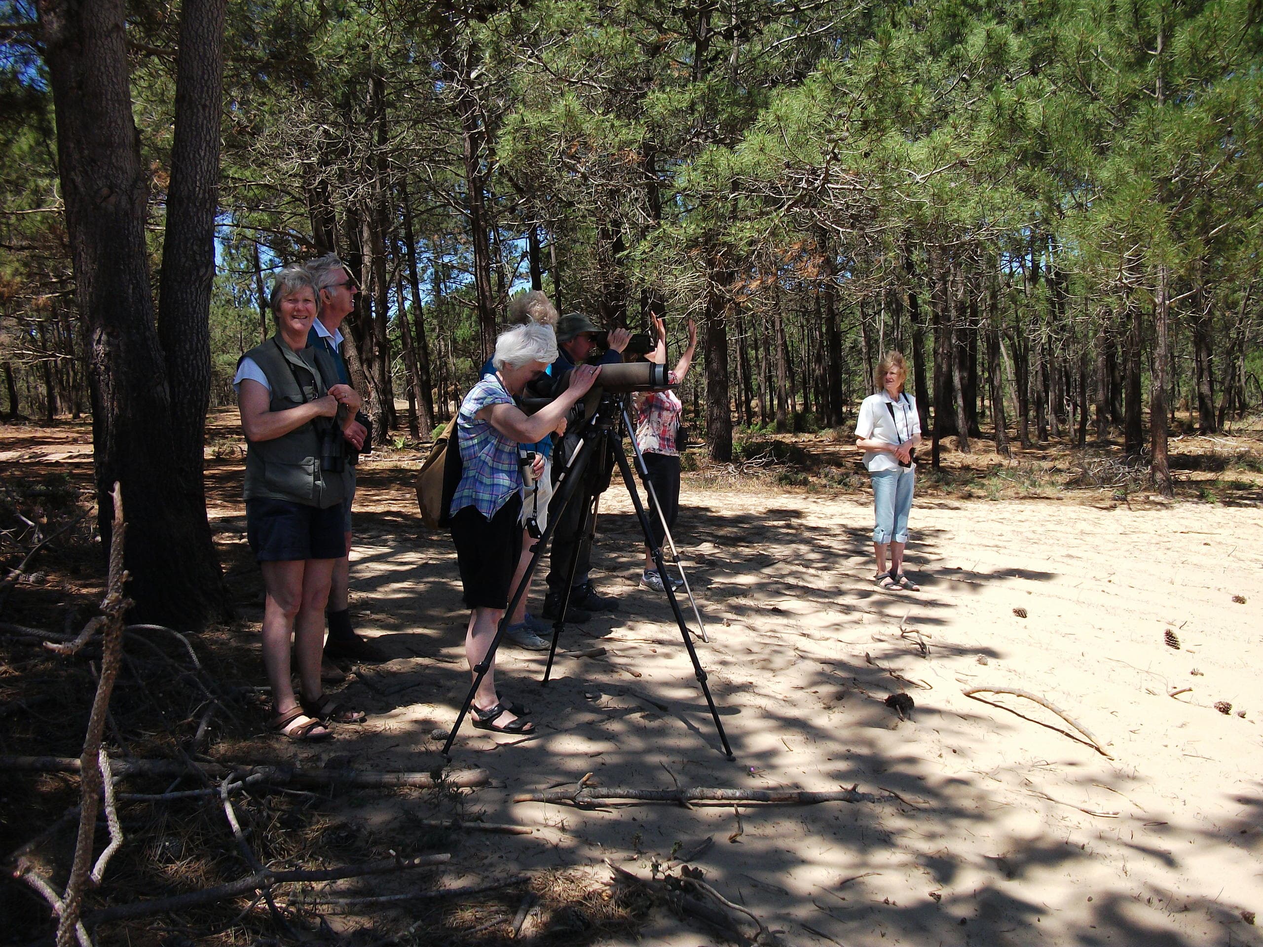 Birdwatching in Portugal with A Rocha Life in Sagres