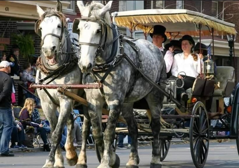Private Group Horse Tours in Gettysburg, PA