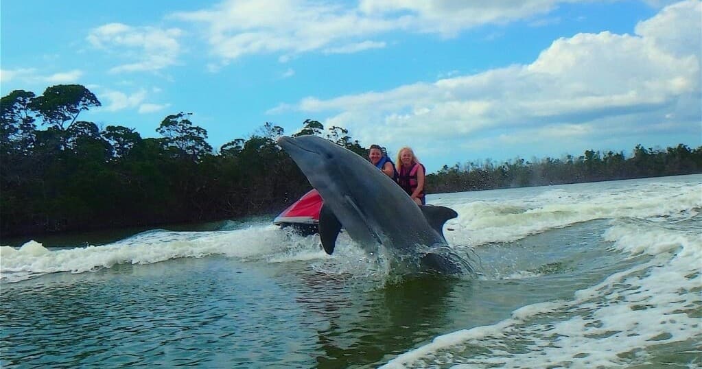 Dolphin Jet Ski Tours on Marco Island with Avi’s Watersports