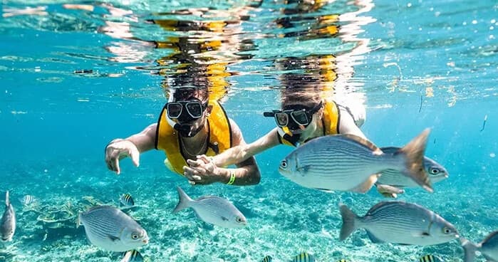 Playa Tortugas Cancun team