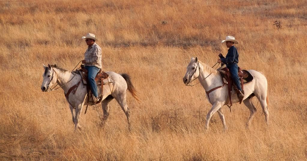 Horseback Riding Adventure in Camp Verde, Arizona