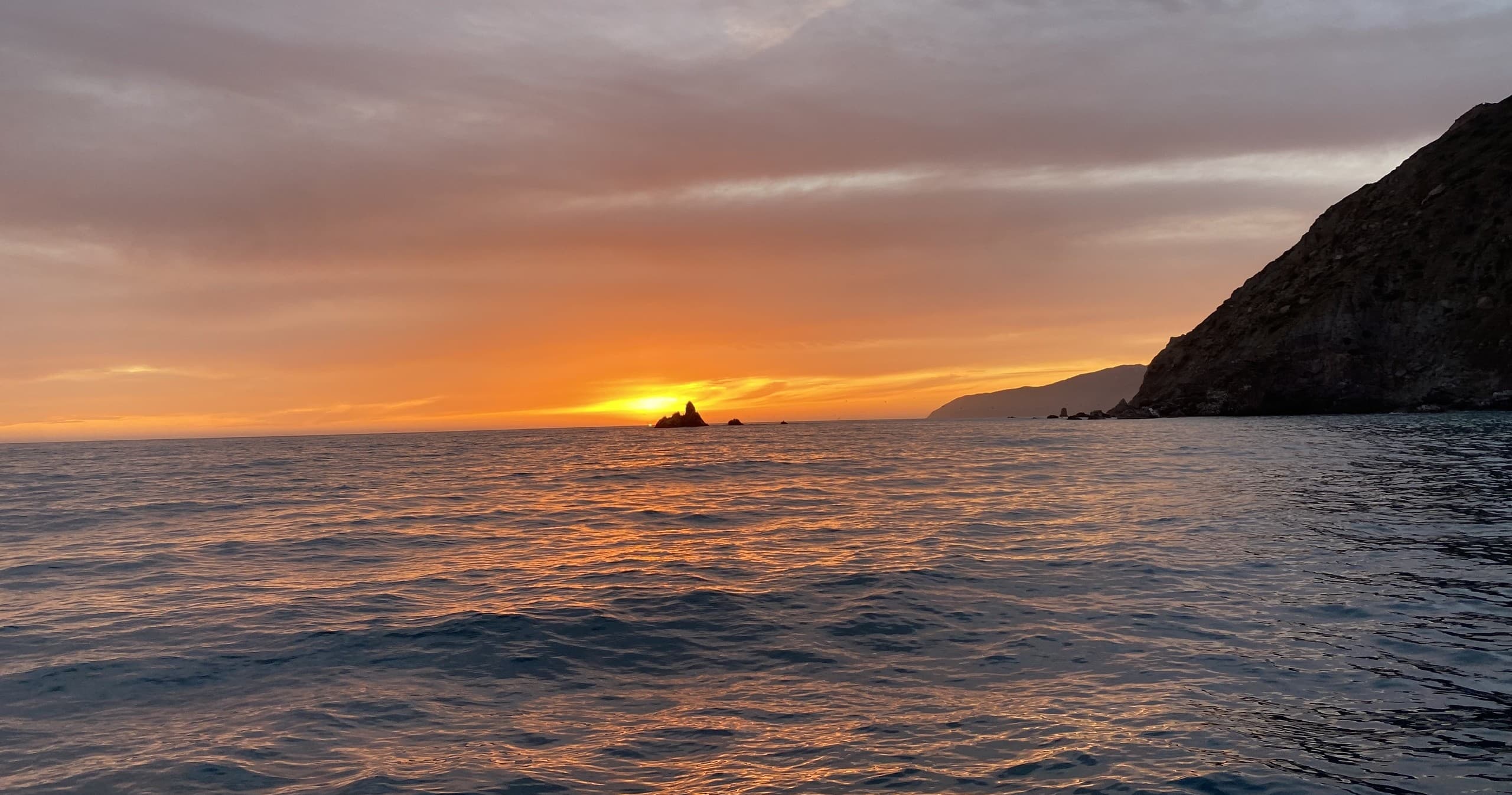 Valentine’s Sunset Cruise: Catalina Island Golden-Hour Wildlife Sail photo 1