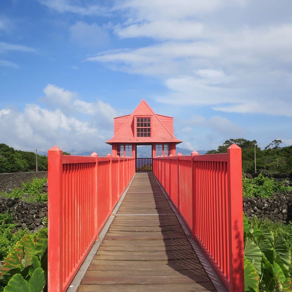 Pico Island Full Day Tour with Tripix Azores