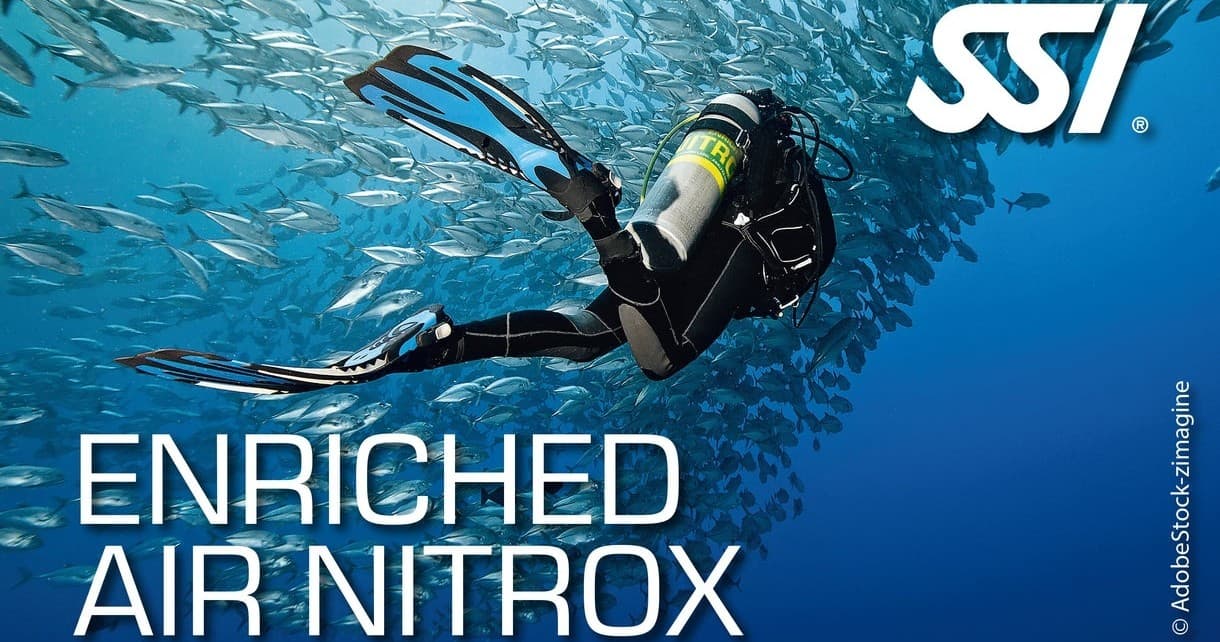SSI Nitrox Kurs by Tauchwerkstatt in Baalberge Bernburg