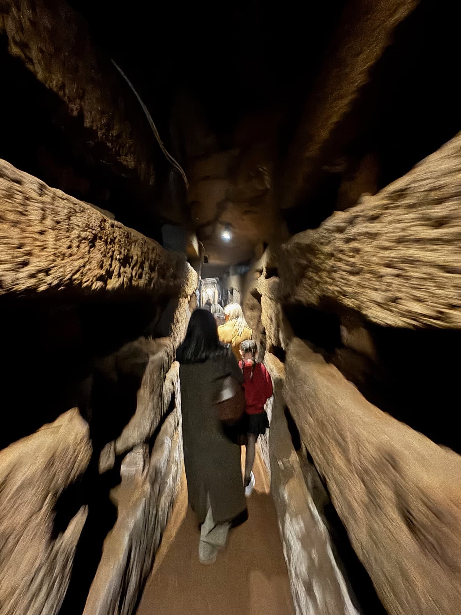 Rome Catacombs Tour with Show Me Italy photo 1