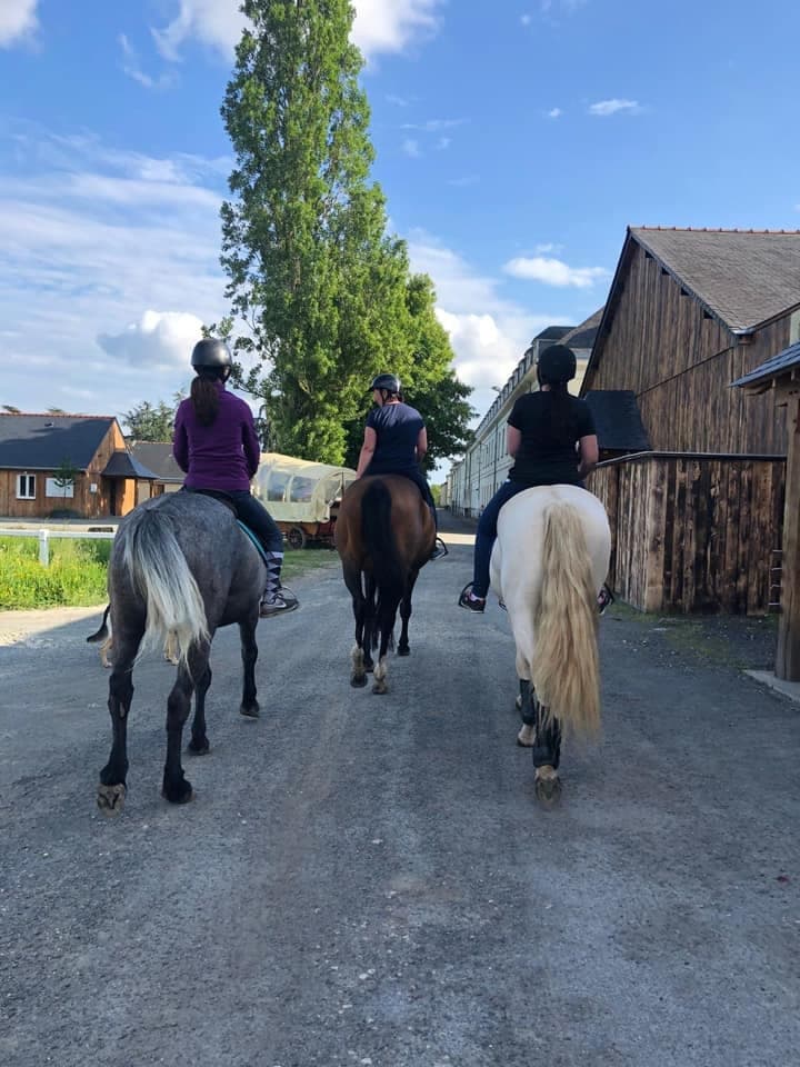 Horseback Riding Adventures at Le Haras des Ouches, Roiffe