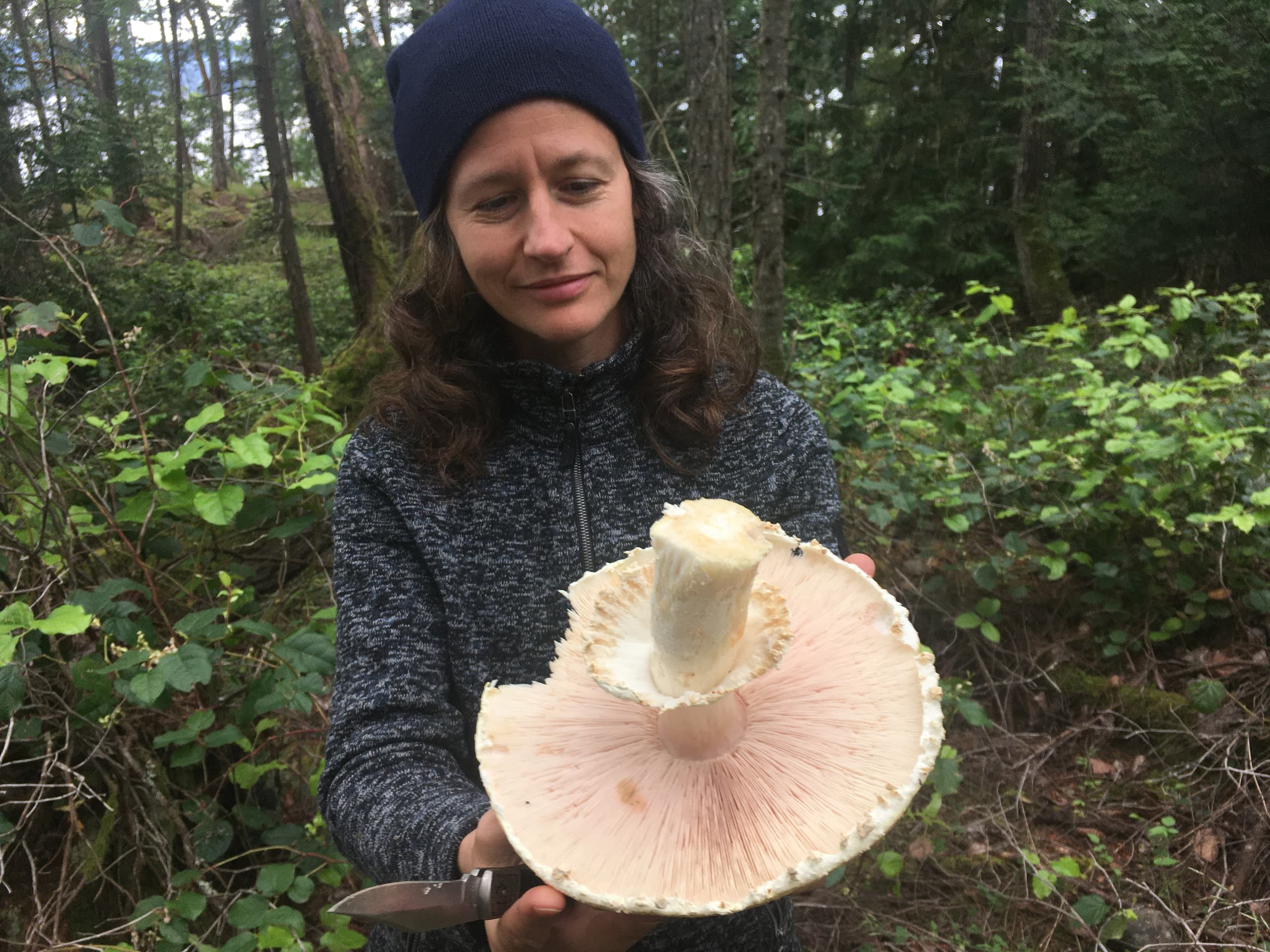 Forager in temperate forest holding large wild mushroom harvest