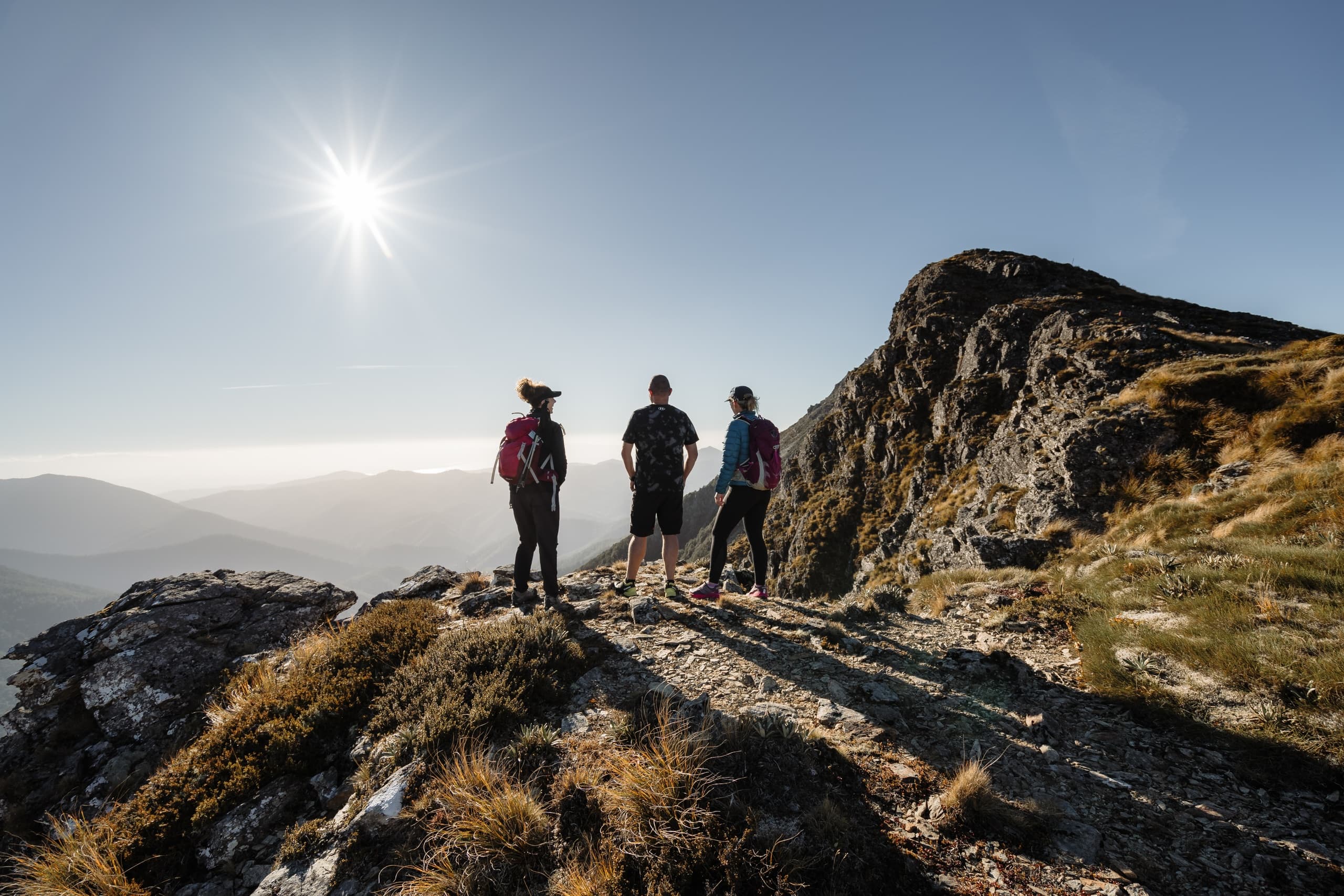 Land Adventures with Te Araroa Heli-Hike in Nelson