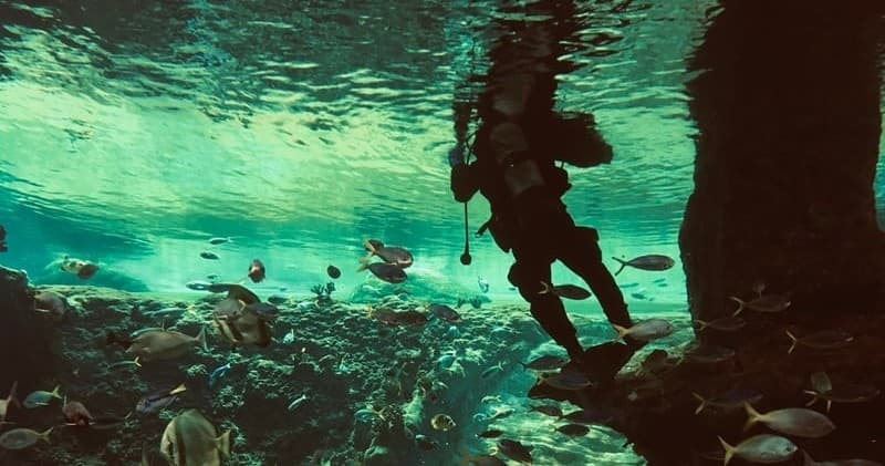 SCUBA Diving Guide at Aquarius Dive Shop