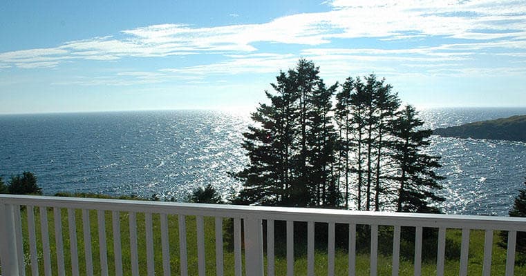 Ocean vista with pine trees and seaside deck overlooking Monhegan